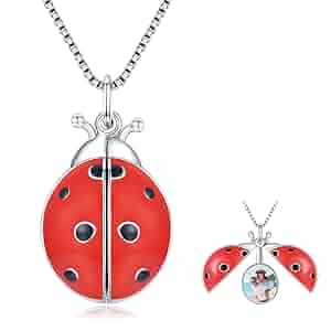 61+tv48wyaL._SY300_QL30_.jpg 61+tv48wyaL._SY300_QL30_.jpg